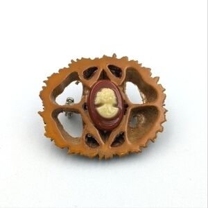 Vintage cameo on nut slice brooch pin.